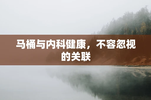 马桶与内科健康，不容忽视的关联