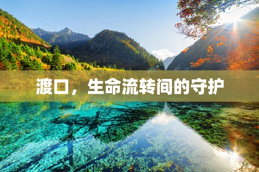 渡口，生命流转间的守护