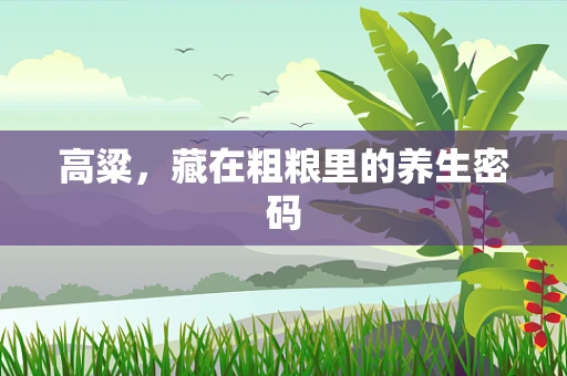 高粱，藏在粗粮里的养生密码