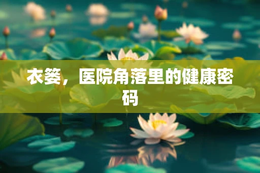 衣篓，医院角落里的健康密码