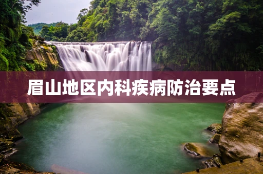 眉山地区内科疾病防治要点