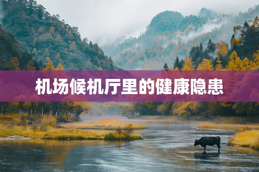 机场候机厅里的健康隐患