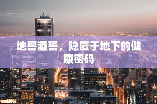 地窖酒窖，隐匿于地下的健康密码