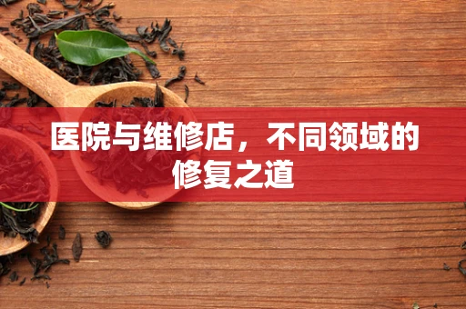 医院与维修店，不同领域的修复之道