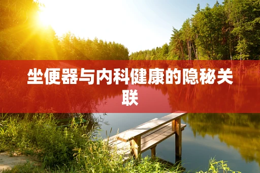 坐便器与内科健康的隐秘关联