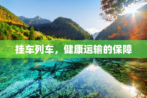 挂车列车，健康运输的保障