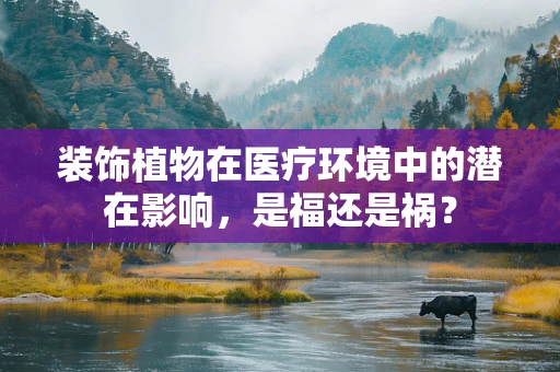装饰植物在医疗环境中的潜在影响，是福还是祸？