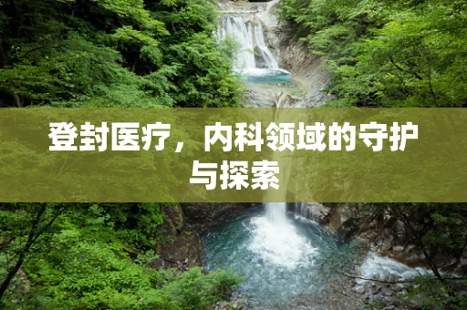 登封医疗，内科领域的守护与探索