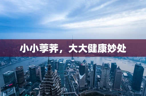 小小荸荠，大大健康妙处