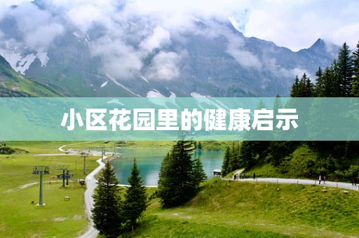 小区花园里的健康启示