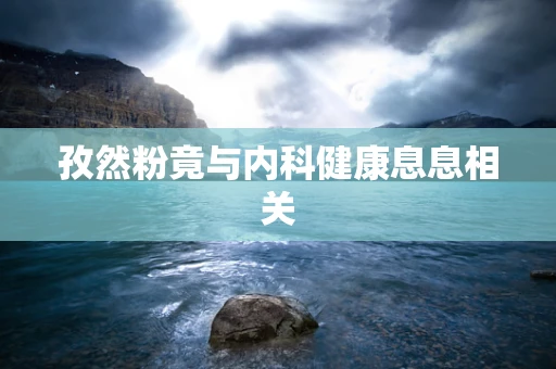 孜然粉竟与内科健康息息相关