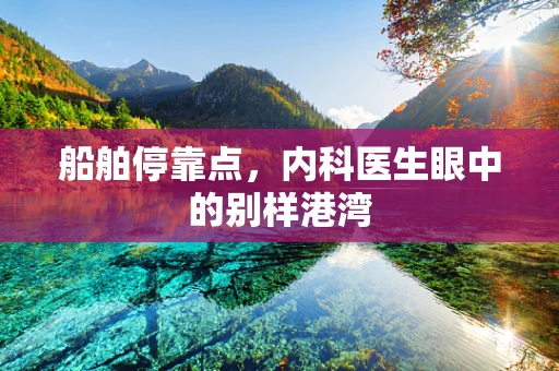 船舶停靠点，内科医生眼中的别样港湾