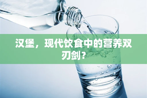 汉堡，现代饮食中的营养双刃剑？