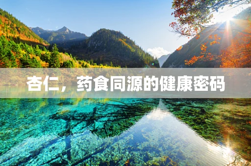 杏仁，药食同源的健康密码