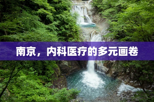 南京，内科医疗的多元画卷