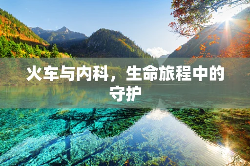 火车与内科，生命旅程中的守护