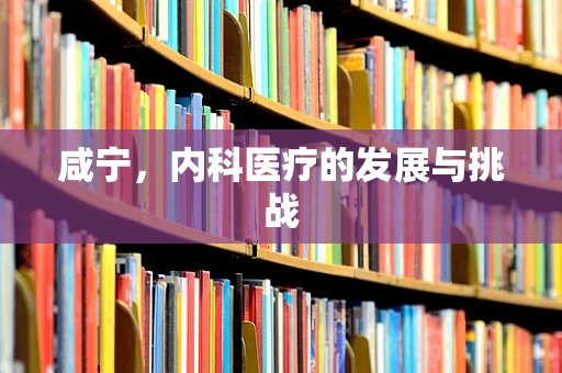 咸宁，内科医疗的发展与挑战