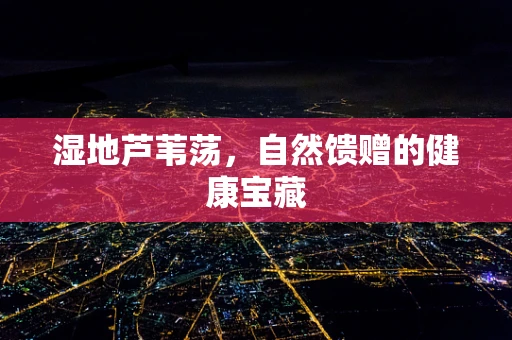 湿地芦苇荡，自然馈赠的健康宝藏
