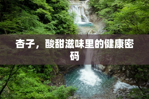 杏子，酸甜滋味里的健康密码