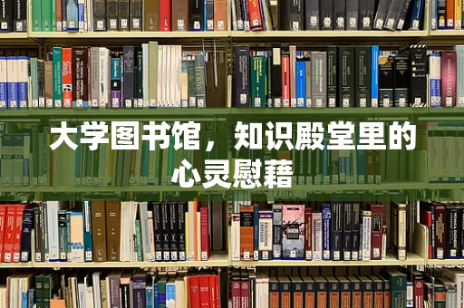 大学图书馆，知识殿堂里的心灵慰藉
