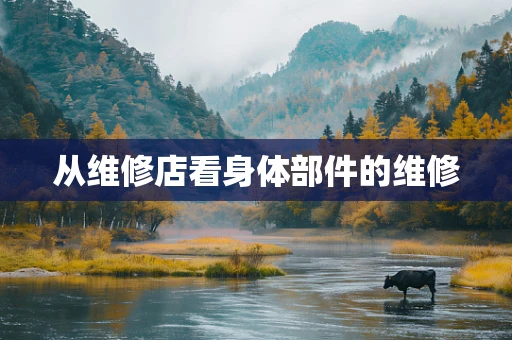 从维修店看身体部件的维修