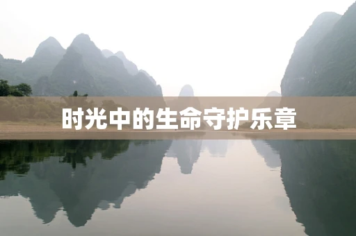 时光中的生命守护乐章