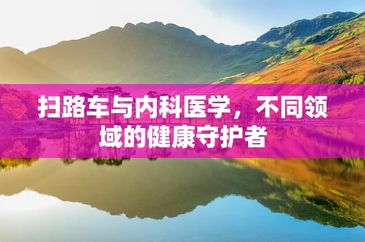 扫路车与内科医学，不同领域的健康守护者