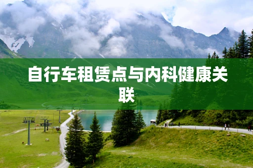 自行车租赁点与内科健康关联