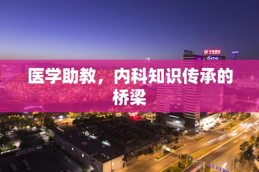 医学助教，内科知识传承的桥梁