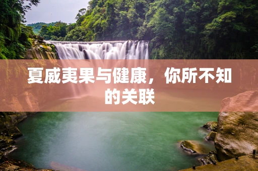夏威夷果与健康，你所不知的关联