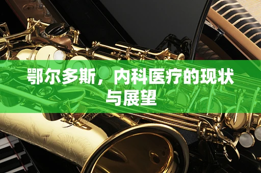 鄂尔多斯，内科医疗的现状与展望