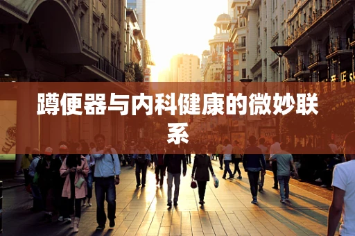 蹲便器与内科健康的微妙联系