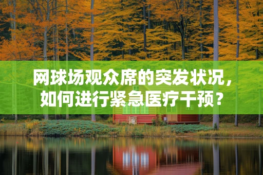 网球场观众席的突发状况，如何进行紧急医疗干预？