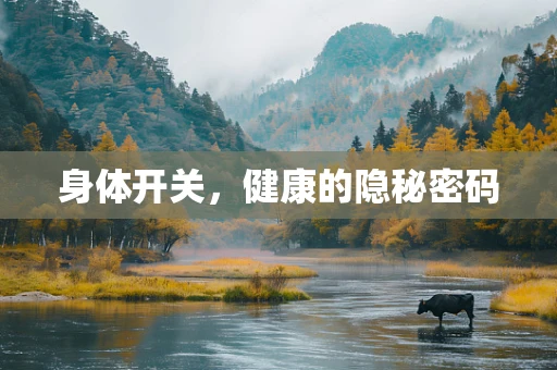 身体开关，健康的隐秘密码