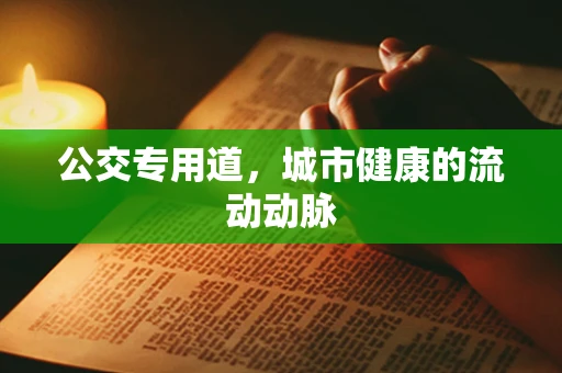 公交专用道，城市健康的流动动脉