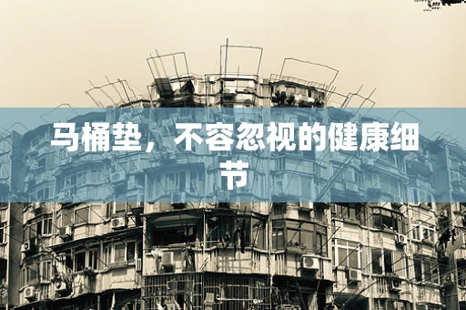 马桶垫，不容忽视的健康细节