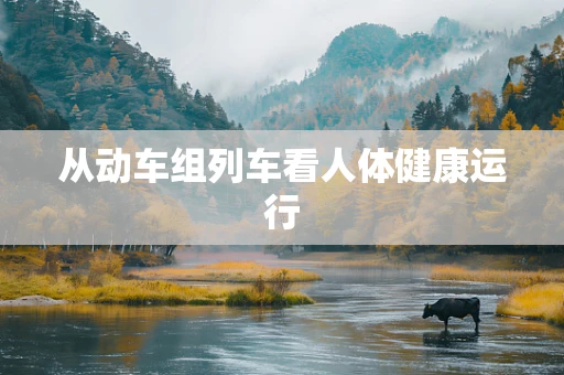 从动车组列车看人体健康运行
