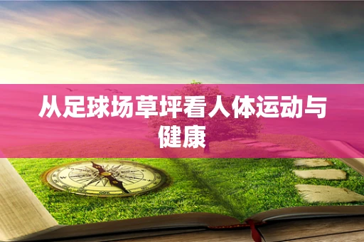 从足球场草坪看人体运动与健康