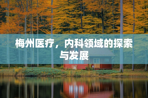 梅州医疗，内科领域的探索与发展