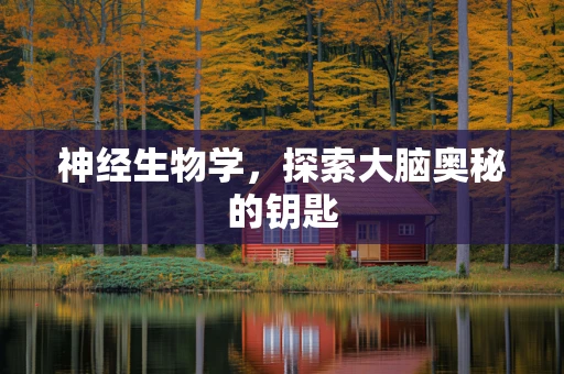 神经生物学，探索大脑奥秘的钥匙