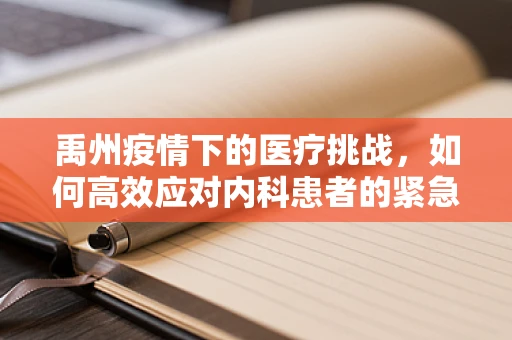 禹州疫情下的医疗挑战，如何高效应对内科患者的紧急需求？