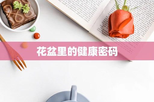 花盆里的健康密码