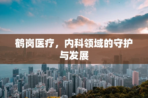 鹤岗医疗，内科领域的守护与发展