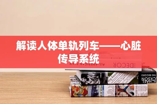 解读人体单轨列车——心脏传导系统