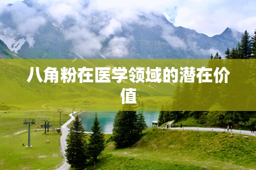 八角粉在医学领域的潜在价值