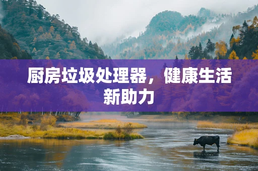 厨房垃圾处理器，健康生活新助力