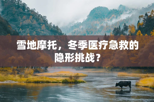 雪地摩托，冬季医疗急救的隐形挑战？