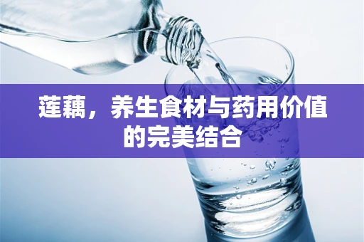 莲藕，养生食材与药用价值的完美结合
