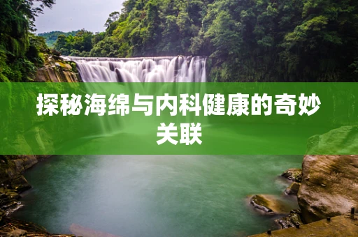 探秘海绵与内科健康的奇妙关联